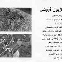 تنکابن 8227 متر باغ پرتقال تامسون