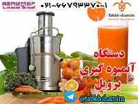 آبمیوه گیری برویل 