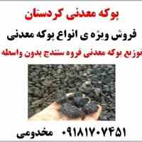 فروش ویژه ی انواع پوکه معدنی   09181707451