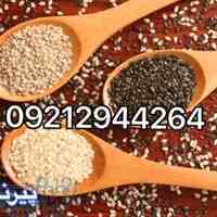 فروش عمده و جزیی کنجد و انواع دانه های روغنی