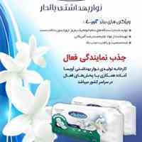 جذب نمایندگی فعال در کارخانه محصولات بهداشتی آویسا