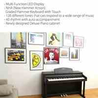 فروش نقد و اقساط پیانوهای دایناتون  DPR-1650