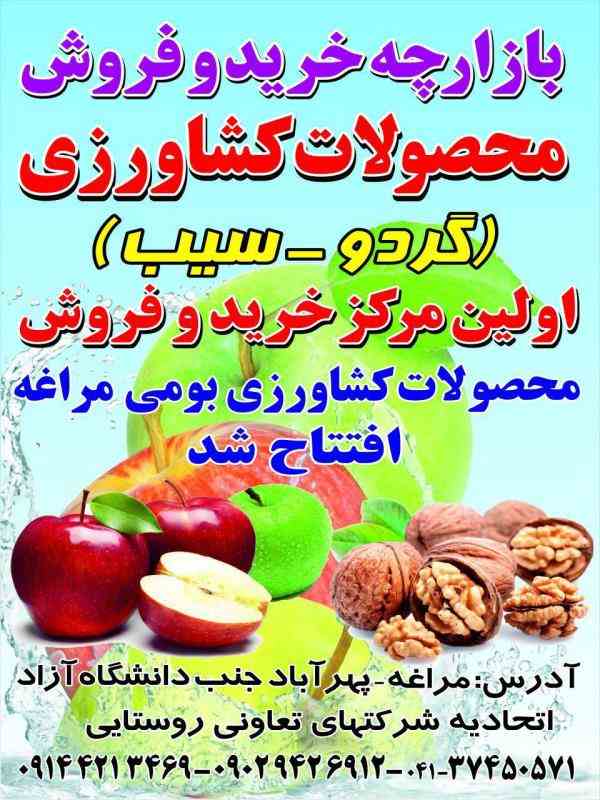 بازارچه سیب  وخشکبار مرخصوص و مرغوب مراغه