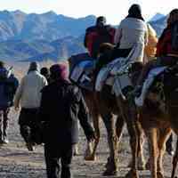 تور کویر کاراکال 