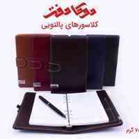 کلاسور پالتویی 