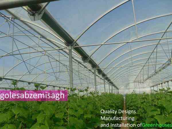 گلخانه  اسپانیای