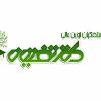 وب سایت دانش پژوهان مالی فرانگر  