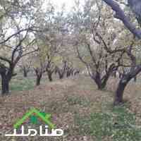 خرید فروش باغ هکتاری در ملارد کد1209