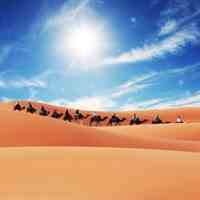 تور 2/5روزه  وی ای پی  کویر مصر 