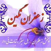 شرکت پخش زعفران نگین 