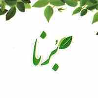 بازرگانی برگ سبز برنا 