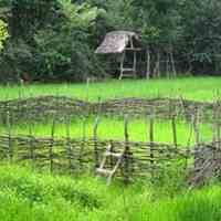 تور ویژه نوروزی سردابه آستارا با تخفیف ویژه