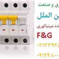 کلید مینیاتوری شرکت F&G،نماینده اف و جی 