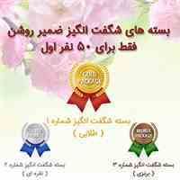 بسته های شگفت انگیز عیدانه ضمیر روشن ( طلایی )