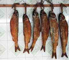 طرح توجیهی تولید ماهی دودی و ماهی شور