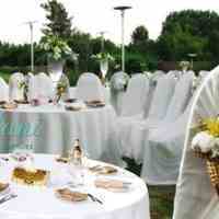 خدمات مجالس اصلانی