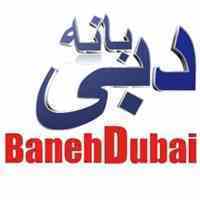 فروشگاه اینترنتی بانه دبی