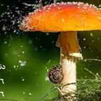 آببندی ساختمان