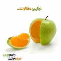 کارگزاری فارابی