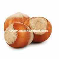 فروش مغز فندق (کیفیت بالا، قیمت پایین)