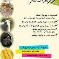 محصولات معدنی جاهدی 