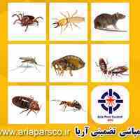 سمپاشی تضمینی آریا، سمپاشی محله یافت اباد