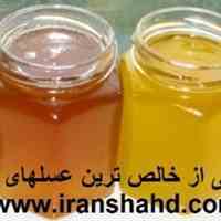 فروشگاه اینترنتی تخصصی عسل