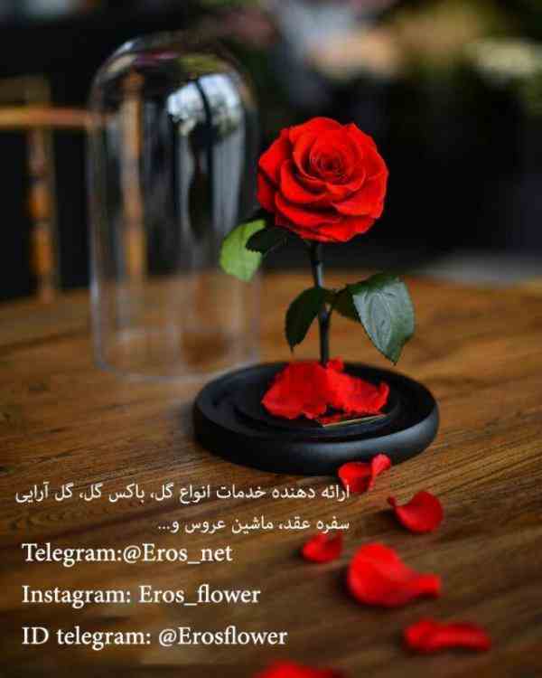 گل آرایی و جعبه گل