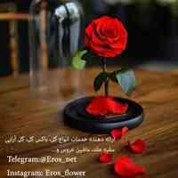 گل آرایی و جعبه گل