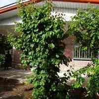 فروش باغ ویلا با نمای آجری زیبا کد417