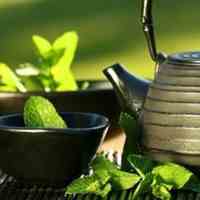 فروشگاه چای رفاه لاهیجان