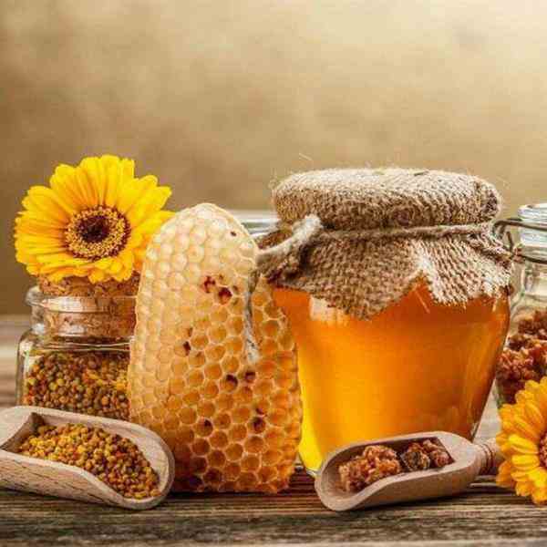فروشگاه تخصصی عسل ایران سویق