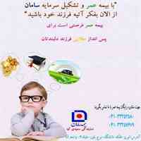 بیمه عمر و تشکیل سرمایه سامان