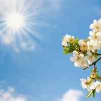 فروش محصولات خیریه (غذایی - صنایع دستی)