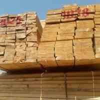 فروش تخته روسی وایرانی بنایی ونجاری وقالب بندی