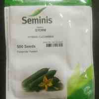 فروش بذر گلخانه ای