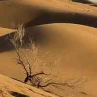 تور 1روزه کویرابوزیدآباد