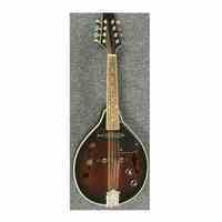 فروش ماندولین پیکاپدار - Mandolin