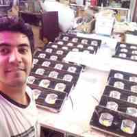 تولید چراغ خیابانی