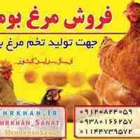 محسن مهر خواه صنعت
