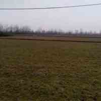 خرید یک و نیم هکتار شالیزار دارای جاده خاکی