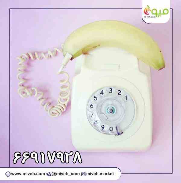 اَلو میوه دات کام