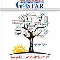 شرکت حسابداری فروغ هیواگستر