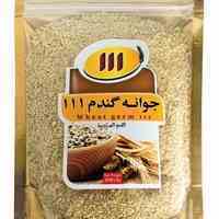 جوانه گندم111 Wheat Germ 