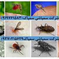 شرکت سمپاشی سمپاک