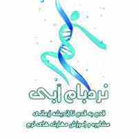 مهارت های نرم با نردبام آبی