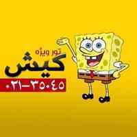 تور کیش