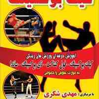آموزش حرفه ای ورزش های رینگی
