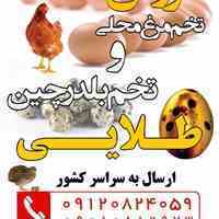 شرکت تعاونی مهر خواه