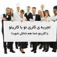 کارینو، تخصصی ترین اپلیکیشن کاریابی و ایده ایران